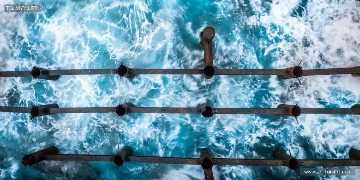 🎉 观赛互动，赢取限量版周边不是梦！🎁